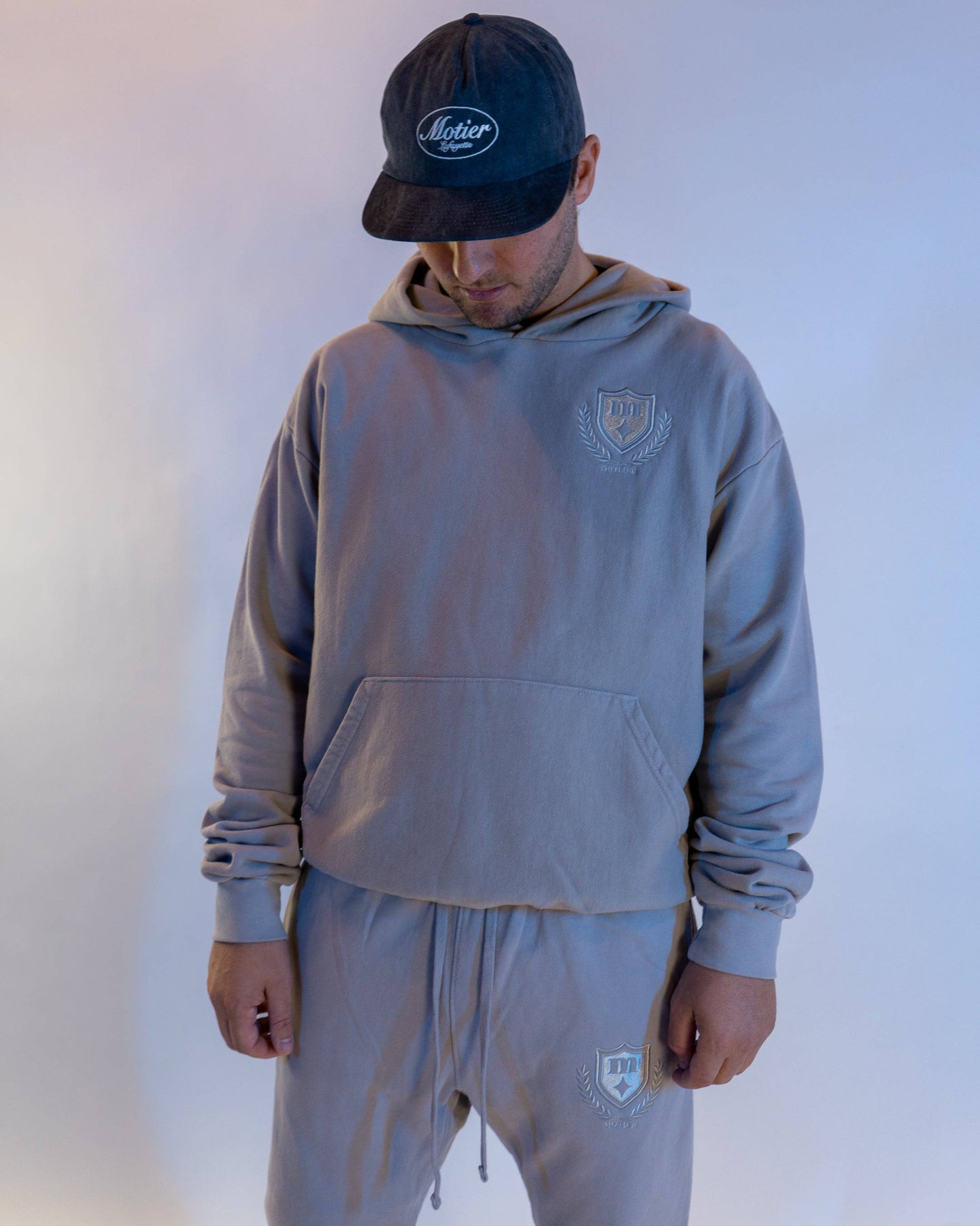 Elegant Crest Luxe Hoodie (Satellite)