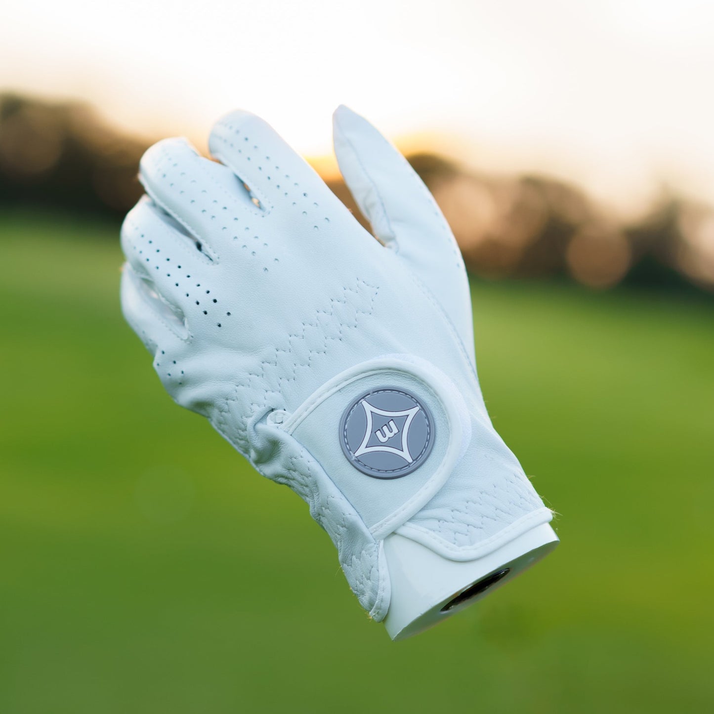 The InTouch Performance Golf Glove