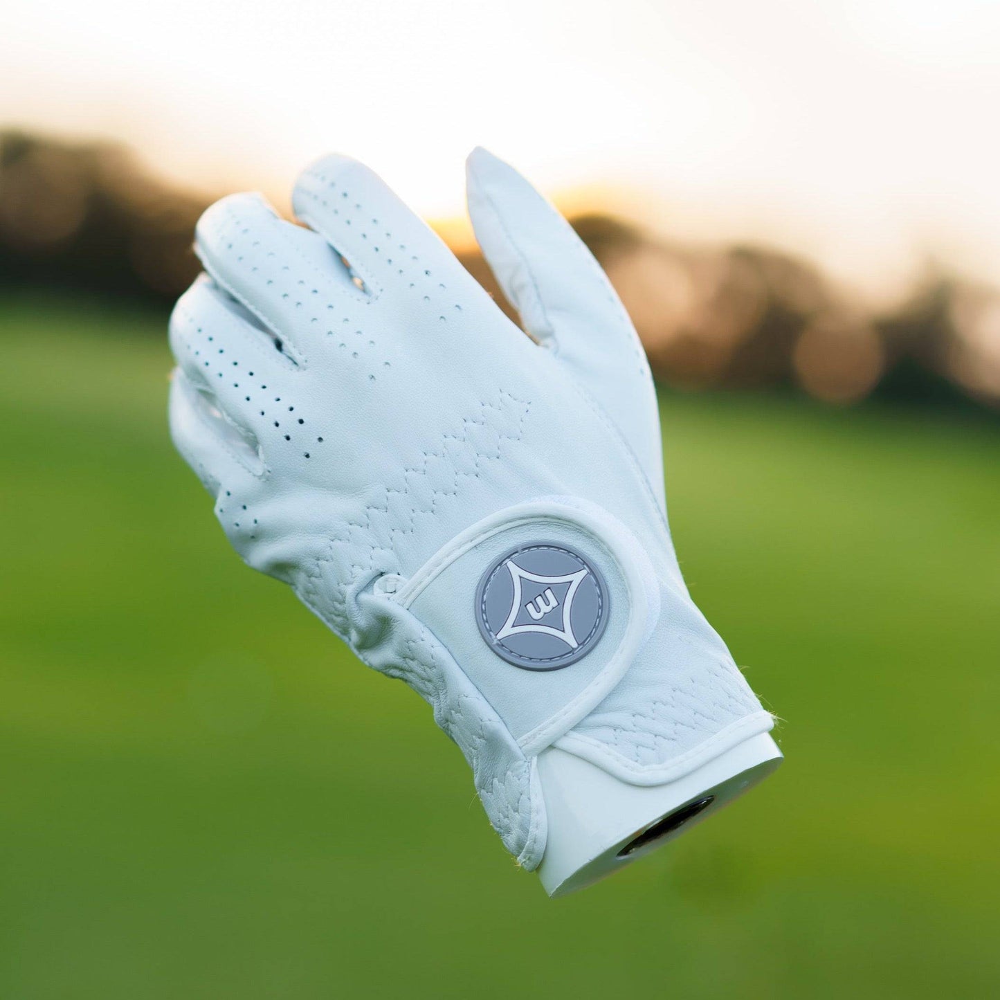 The InTouch Performance Golf Glove