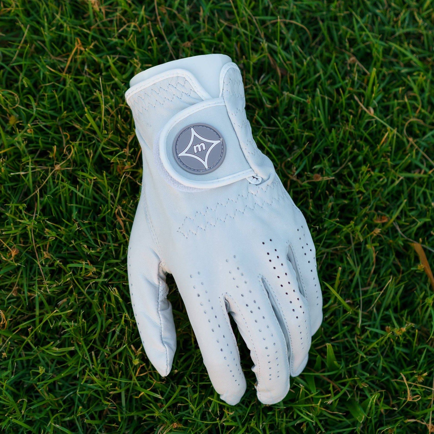 The InTouch Performance Golf Glove