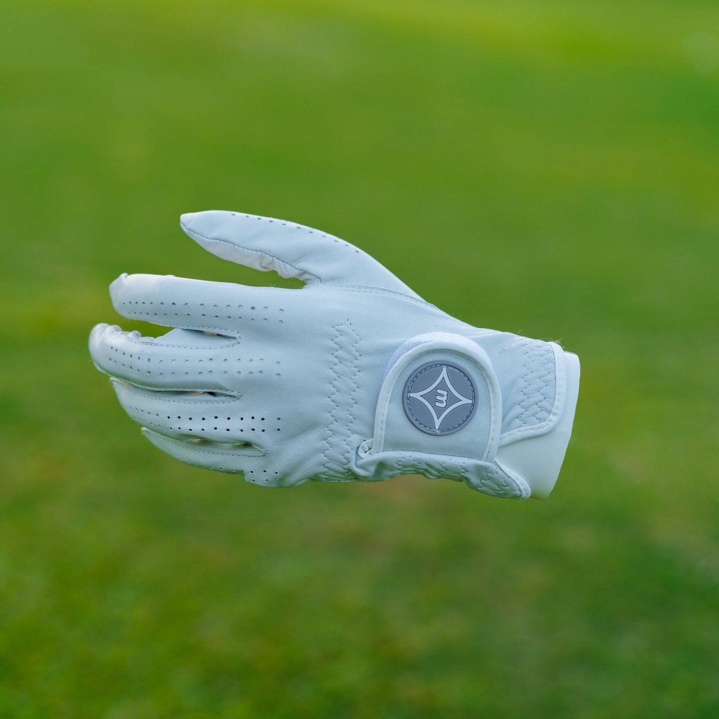The InTouch Performance Golf Glove