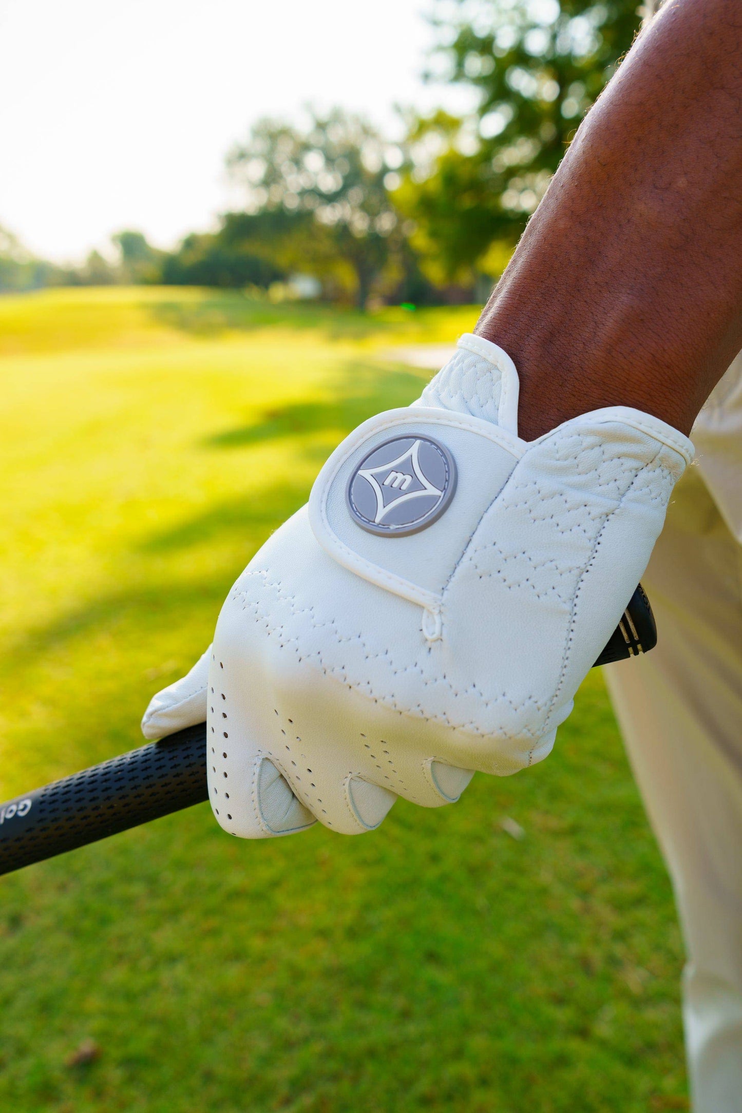 The InTouch Performance Golf Glove
