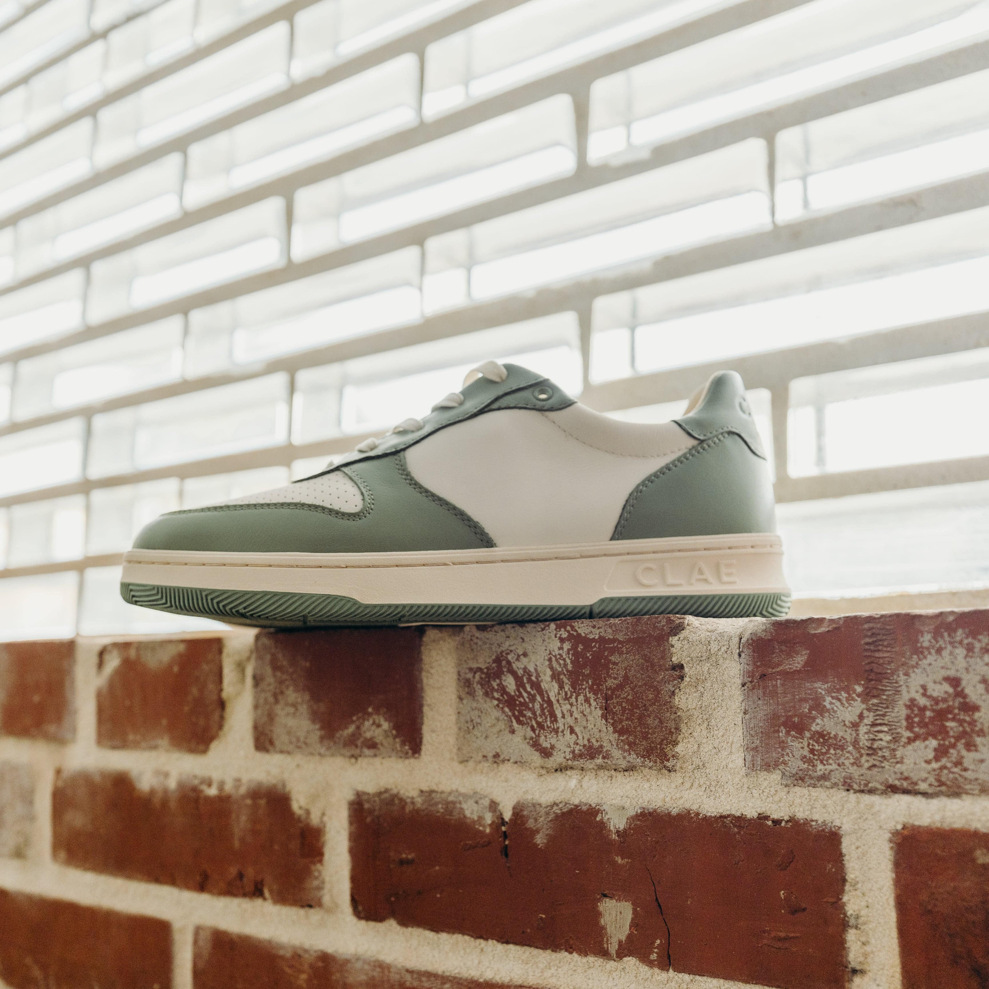 Clae Malone (Menta Leather/Off White) - Motier Lafayette 